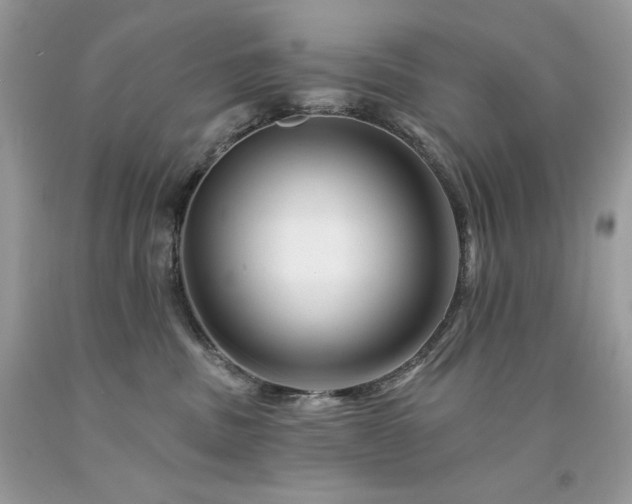 X0000094170379200710261114