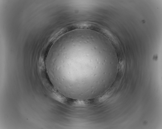 X0000094170381200710261114