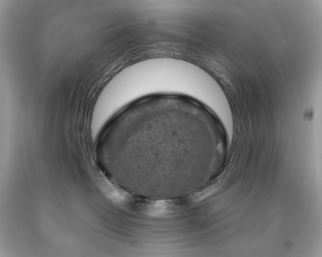 X0000094170382200710261114