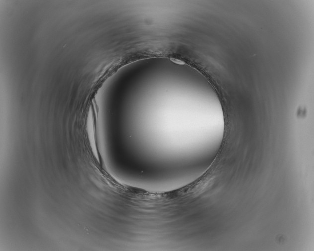 X0000094170384200710261114