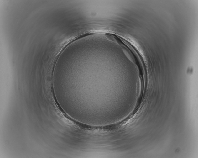 X0000094170385200710261114
