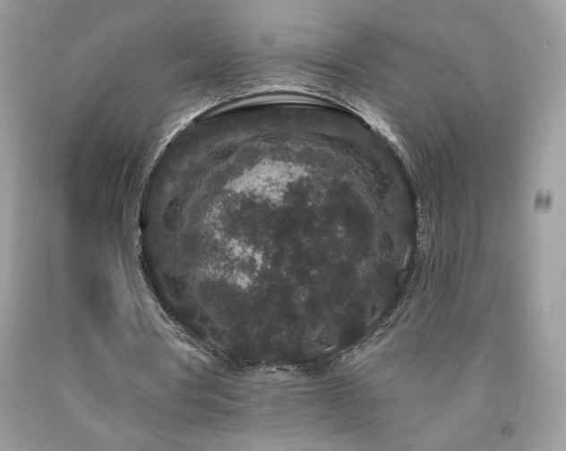 X0000094170386200710261114