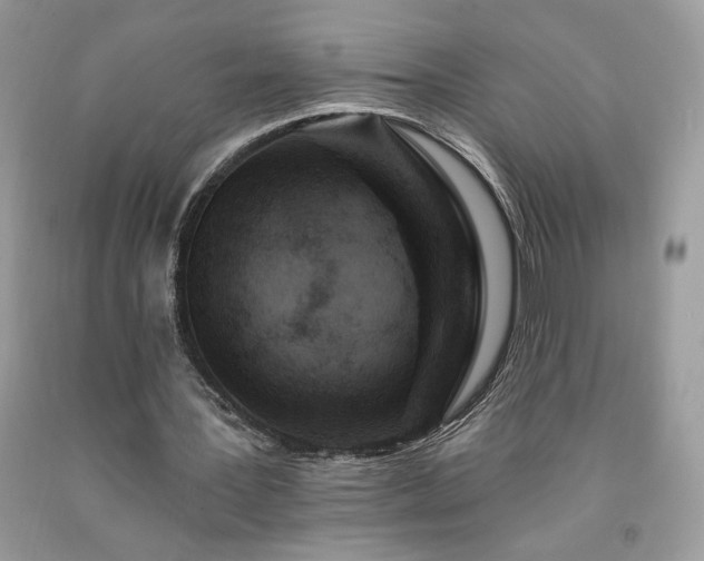 X0000094170387200710261114