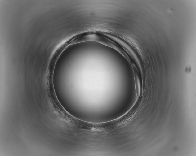 X0000094170388200710261114