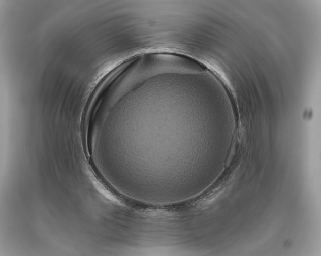 X0000094170389200710261114