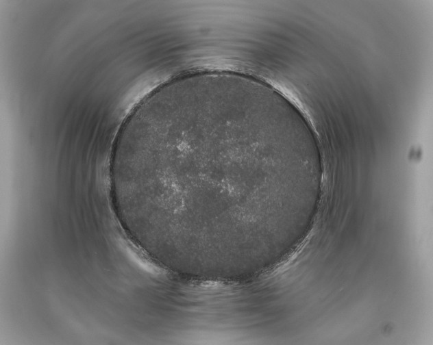 X0000094170390200710261114