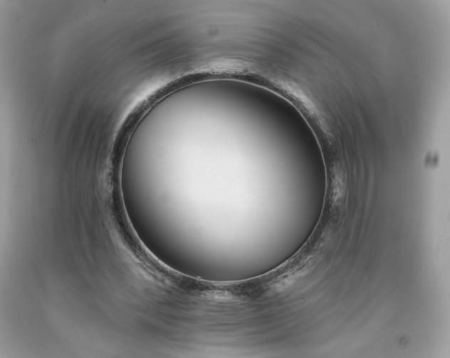 X0000094170392200710261114