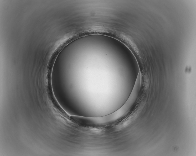 X0000094170395200710261114