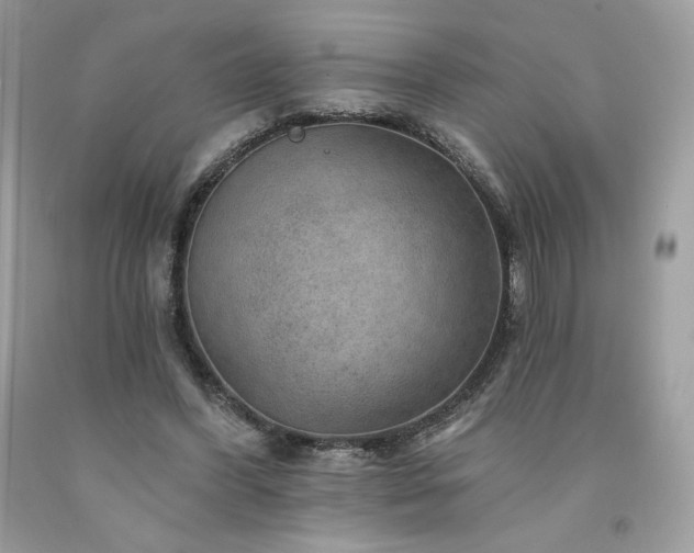 X0000094170396200710261114