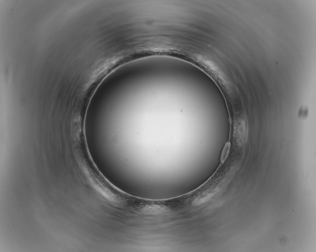 X0000094170397200710261114