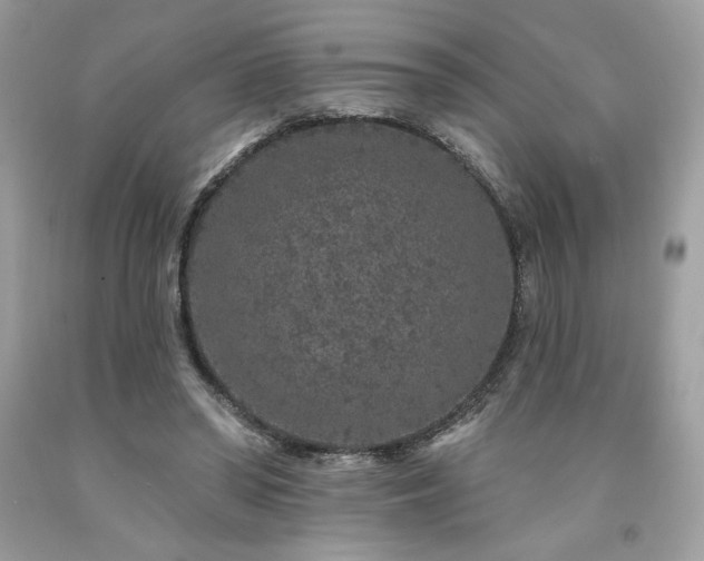 X0000094170398200710261114