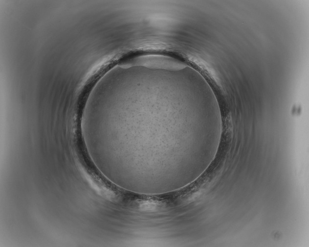 X0000094170400200710261114