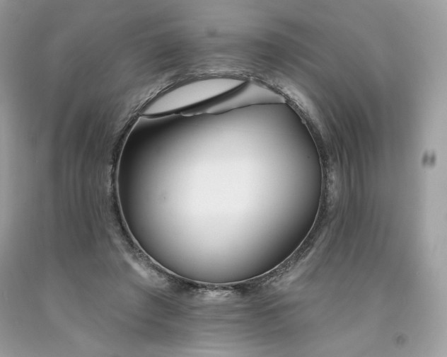 X0000094170401200710261114