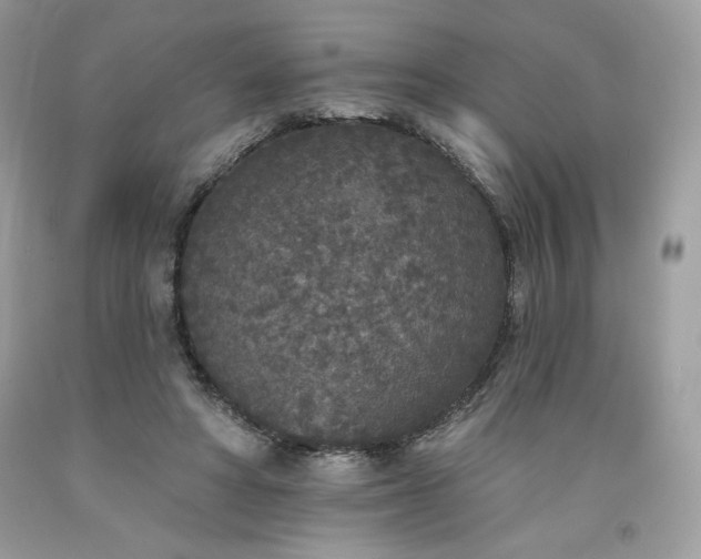 X0000094170402200710261114