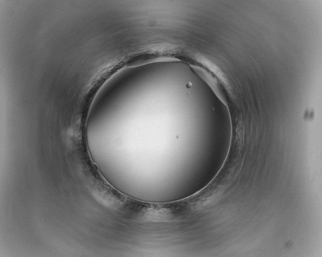 X0000094170403200710261114