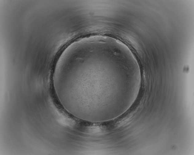 X0000094170404200710261113