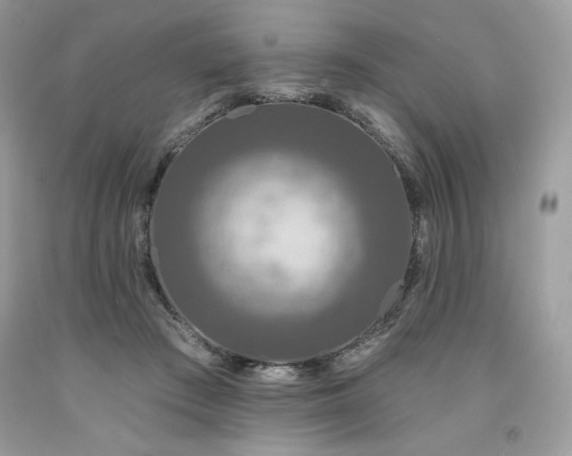 X0000094170409200710261113