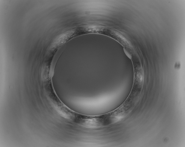 X0000094170411200710261113