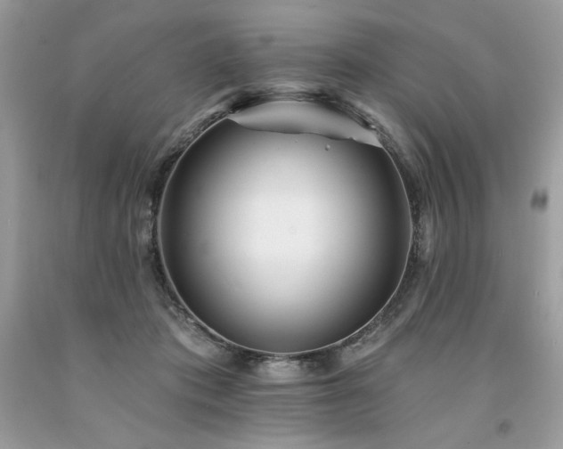 X0000094170413200710261113
