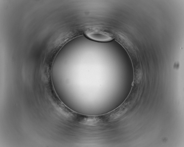 X0000094170414200710261113