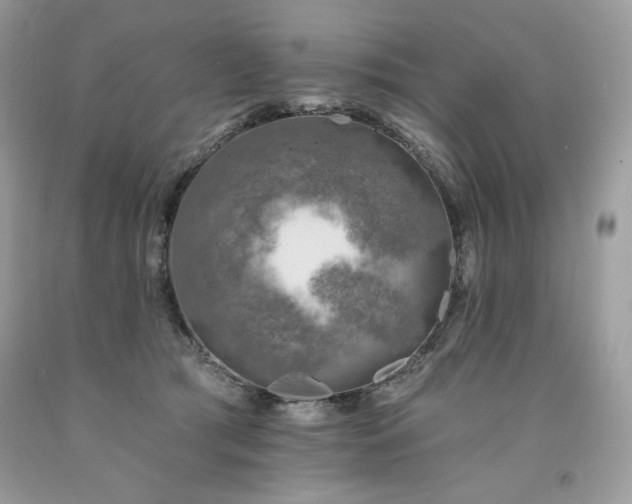 X0000094170417200710261113