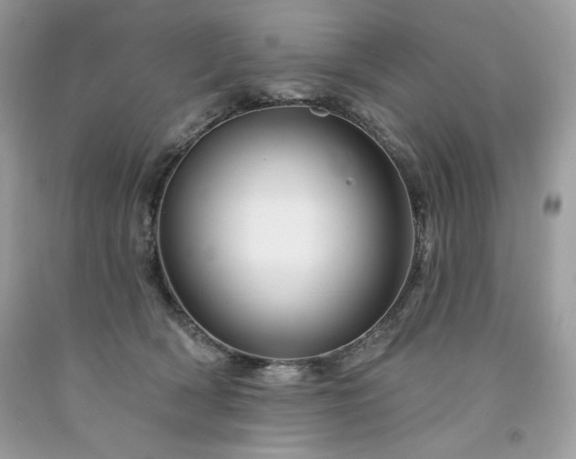 X0000094170418200710261113