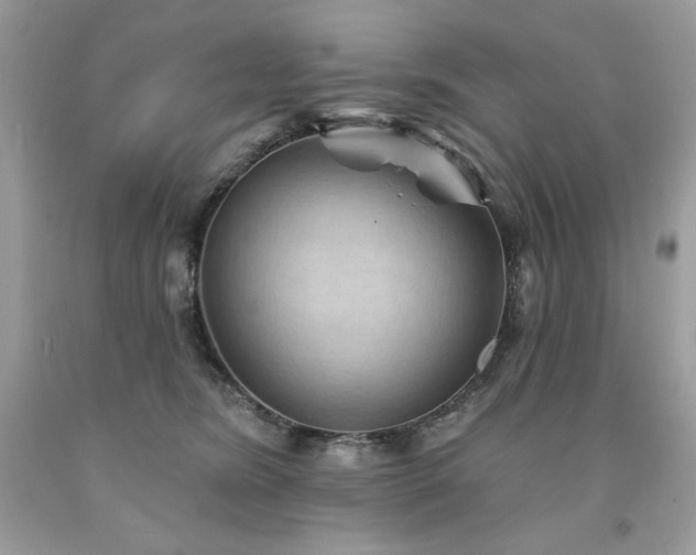 X0000094170420200710261113