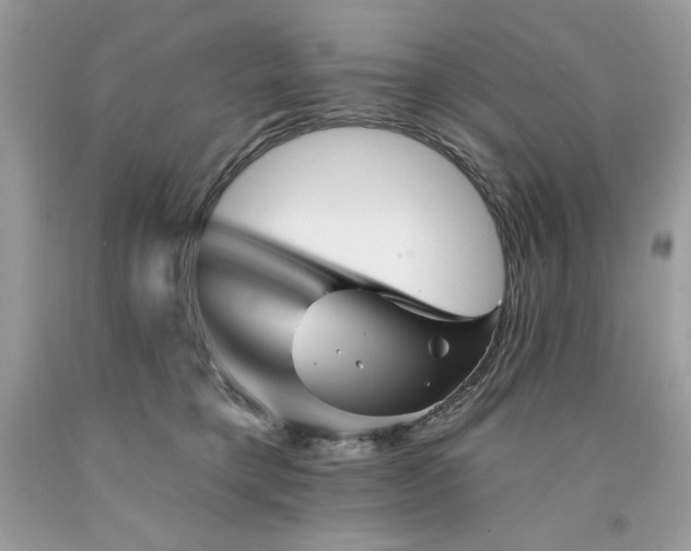 X0000094170421200710261113