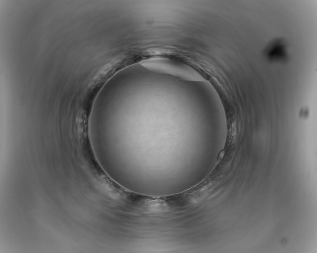 X0000094170424200710261113