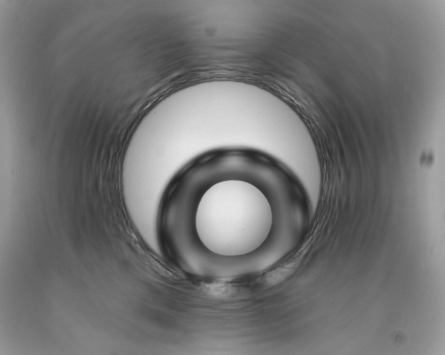 X0000094170425200710261113