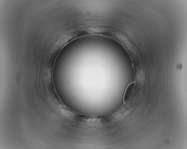 X0000094170426200710261113