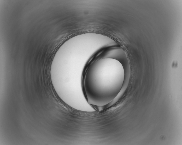 X0000094170432200710261113