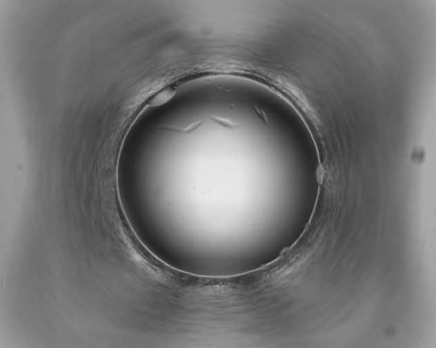 X0000094170433200710261112
