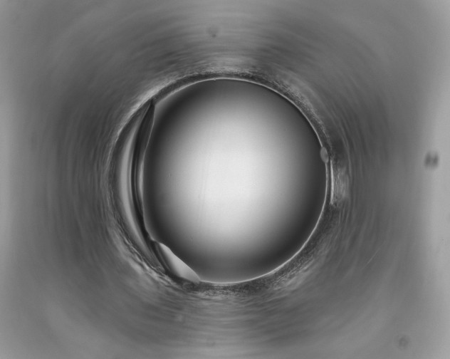 X0000094170435200710261112