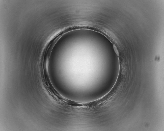 X0000094170436200710261112