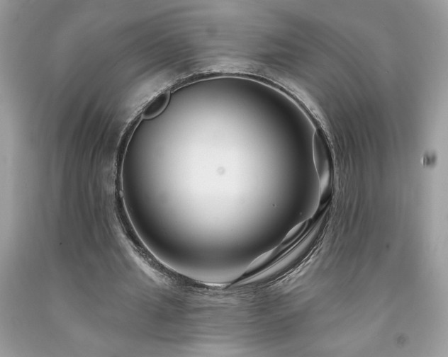 X0000094170437200710261112