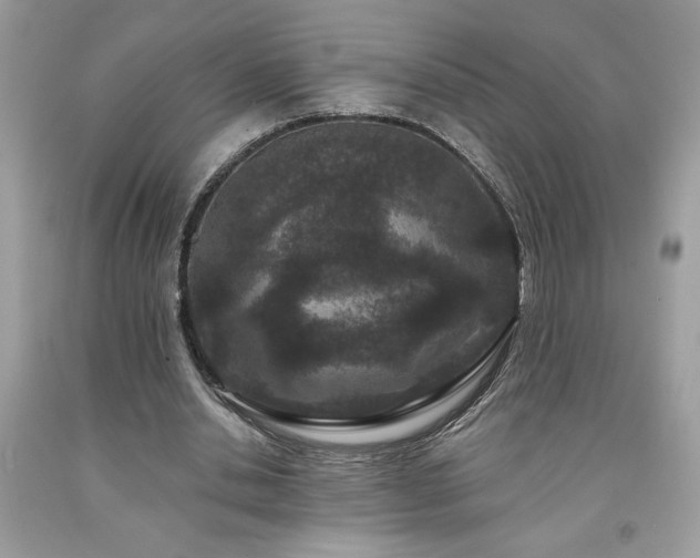 X0000094170438200710261112