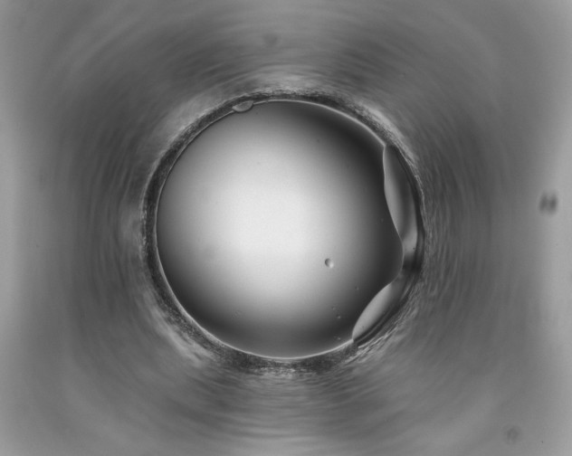 X0000094170439200710261112