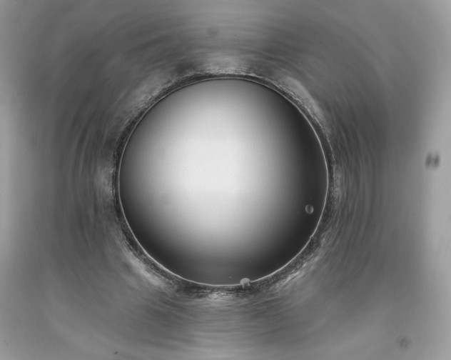 X0000094170441200710261112