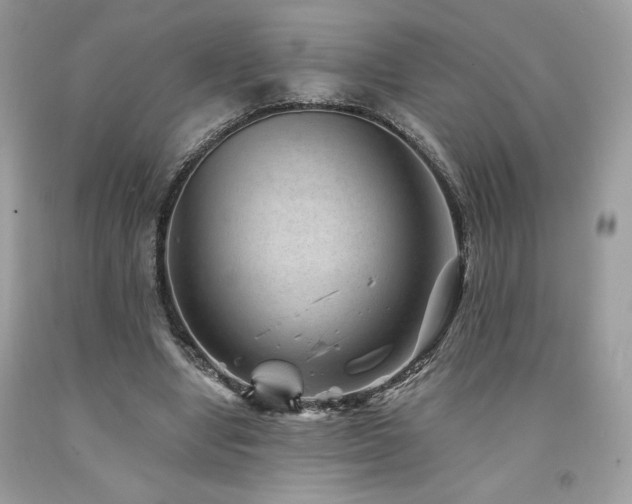 X0000094170442200710261112