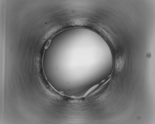 X0000094170444200710261112