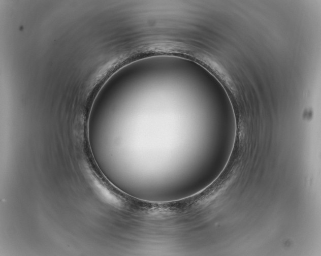 X0000094170445200710261112