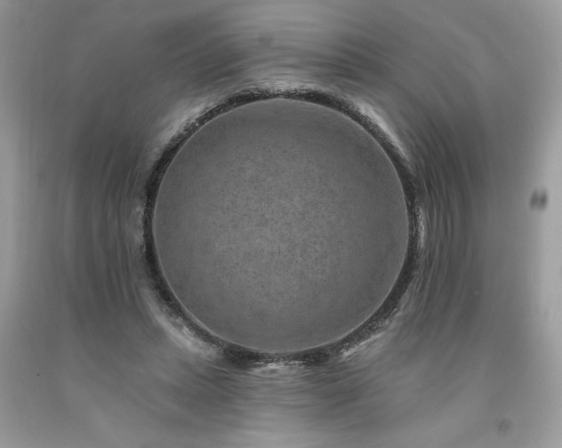 X0000094170447200710261112