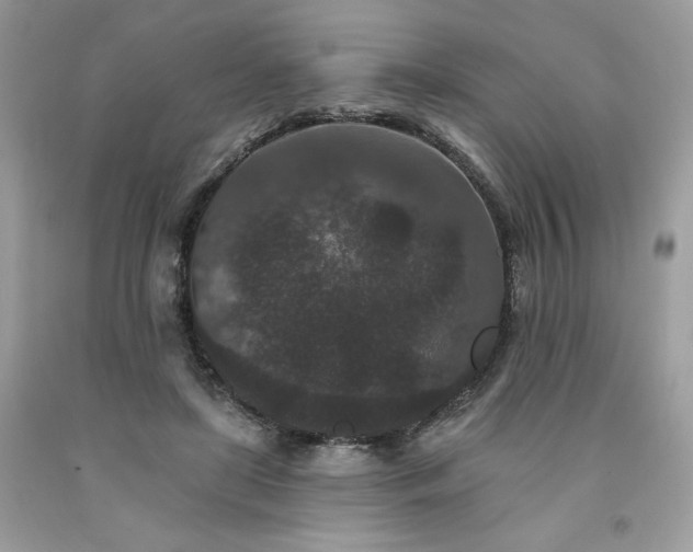 X0000094170451200710261113