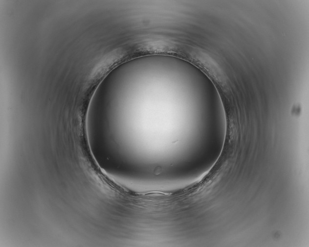 X0000094170453200710261113