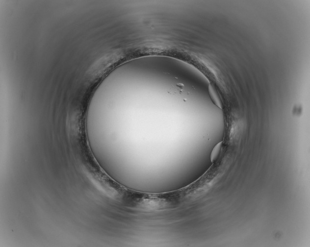 X0000094170455200710261113
