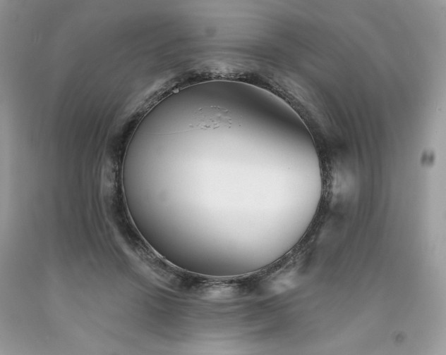 X0000094170456200710261113