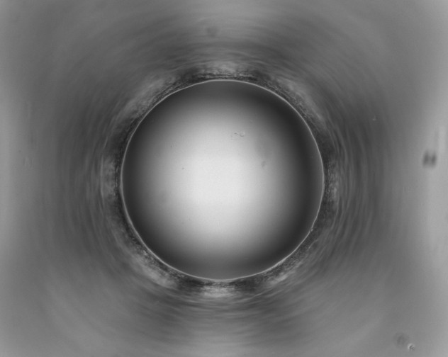 X0000094170457200710261113