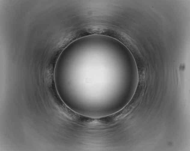 X0000094170460200710261113