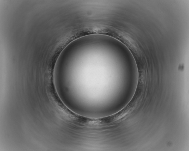 X0000094170461200710261113
